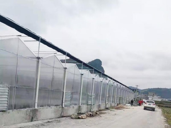 溫室大棚為什么要選用PC陽(yáng)光板做覆蓋材料？